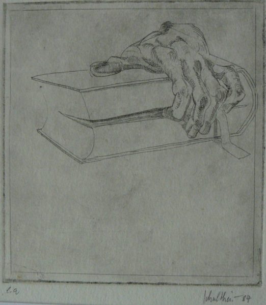 Bild Volker Schultheis | Hand mit Buch