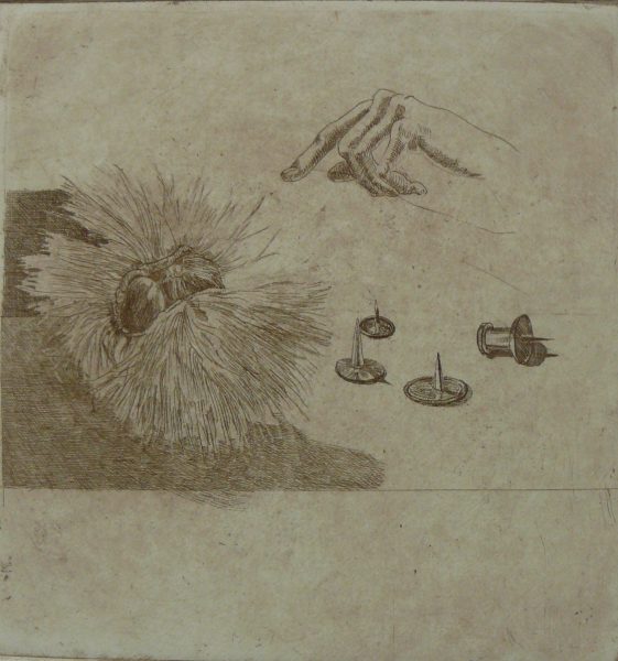 Bild Volker Schultheis | Spitz