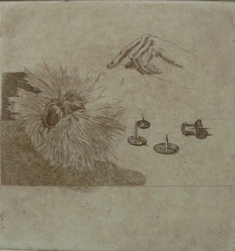 Bild Volker Schultheis | Spitz