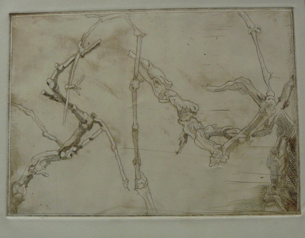 Bild Volker Schultheis | Weinreben