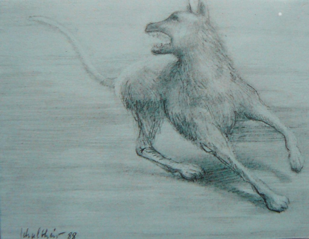 Bild Volker Schultheis | Wütender Hund