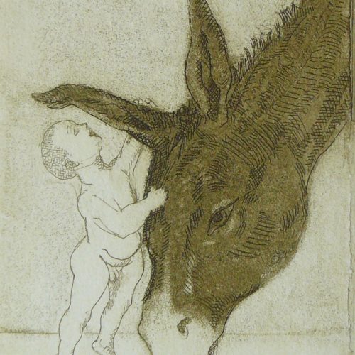 Bild Volker Schultheis | Eselflüsterer