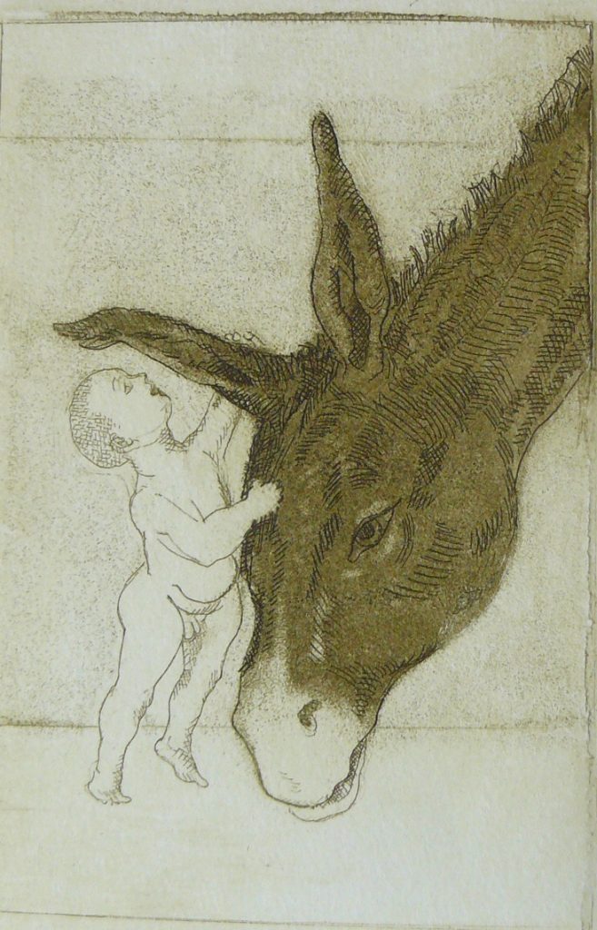 Bild Volker Schultheis | Eselflüsterer