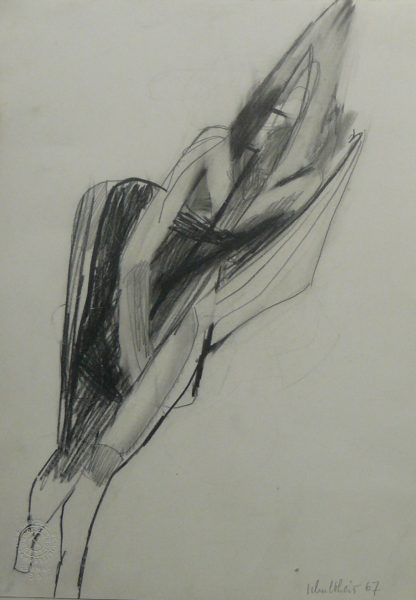 Bild Volker Schultheis | Blume