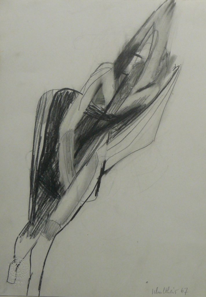 Bild Volker Schultheis | Blume