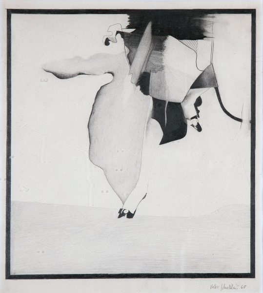 Bild Volker Schultheis | Drache