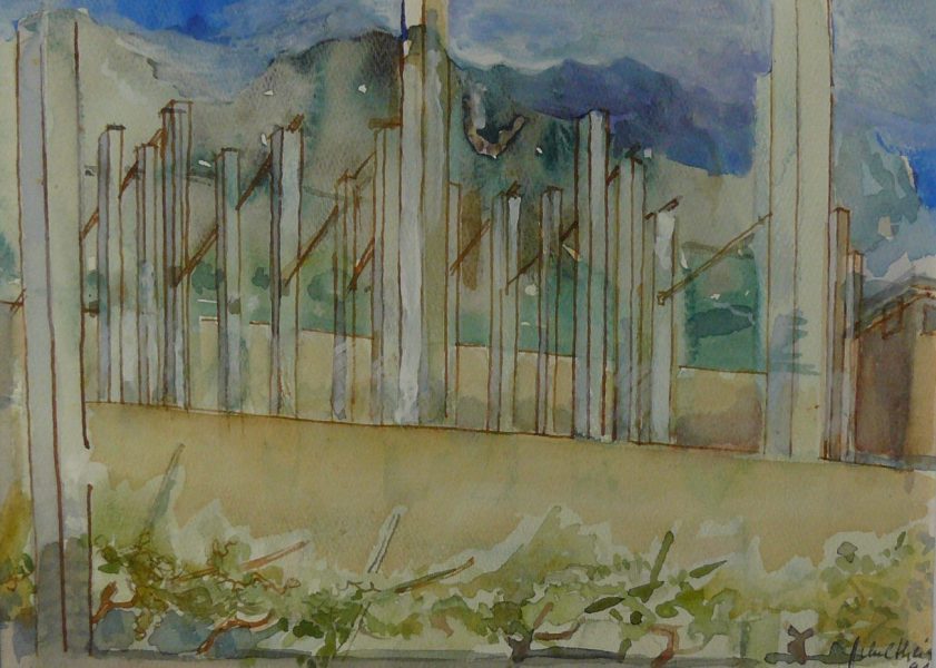 Bild Volker Schultheis | Limonaia