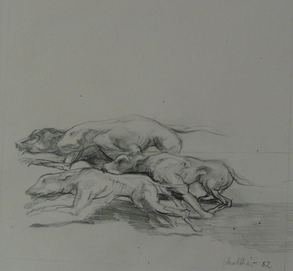 Bild Volker Schultheis | Hunde