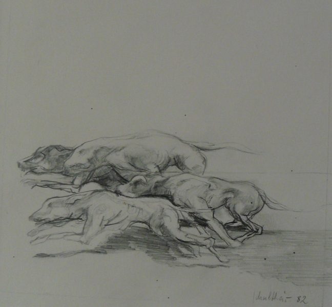 Bild Volker Schultheis | Hunde