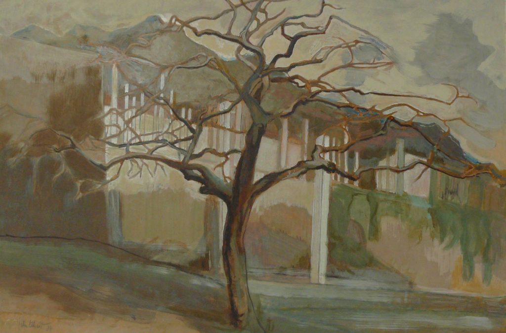 Bild Volker Schultheis | Baum vor Limonaia