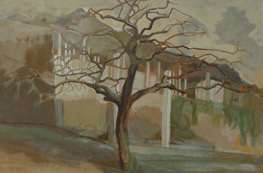 Bild Volker Schultheis | Baum vor Limonaia