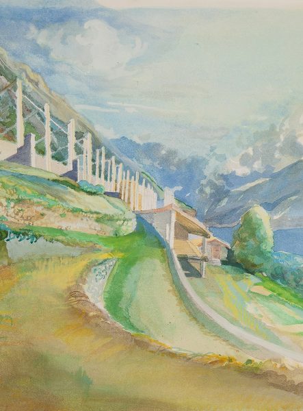 Bild Volker Schultheis | Limonaia