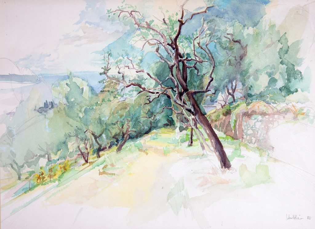 Bild Volker Schultheis | Olivenhain