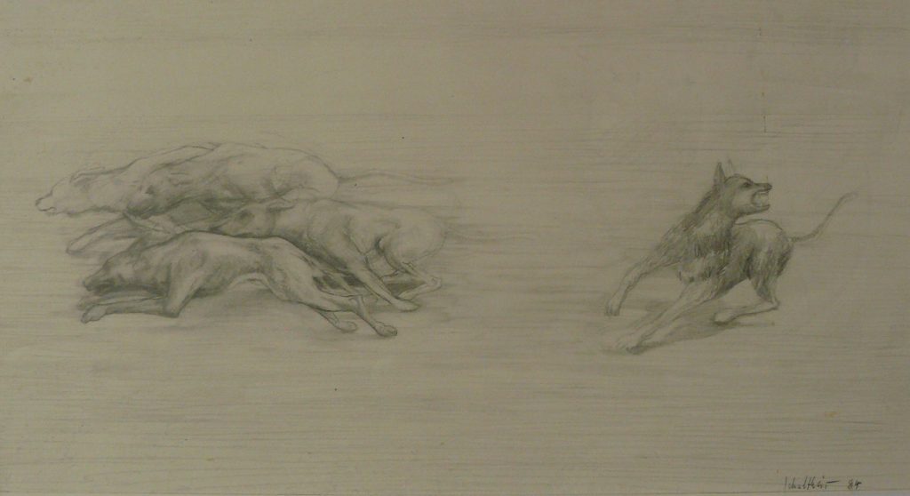 Bild Volker Schultheis | Hunde