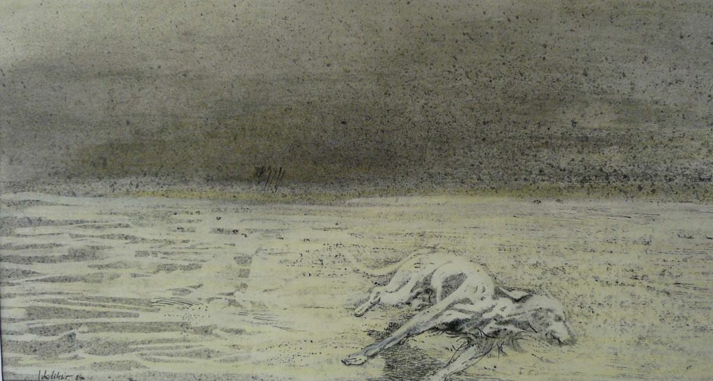 Bild Volker Schultheis | Hund am Strand