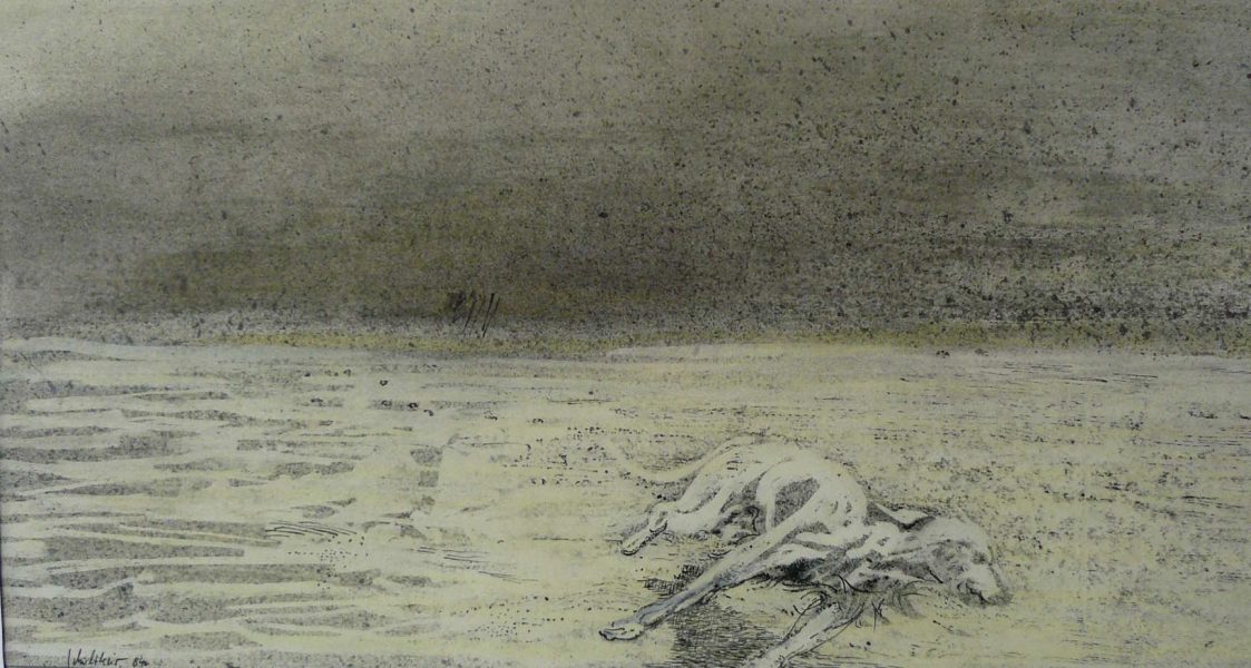 Bild Volker Schultheis | Hund am Strand