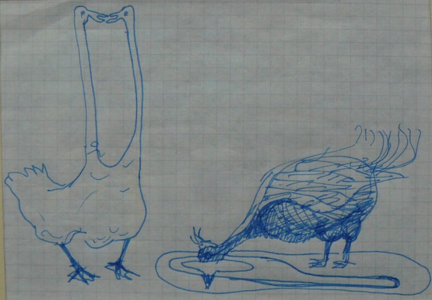 Bild Volker Schultheis | Enten