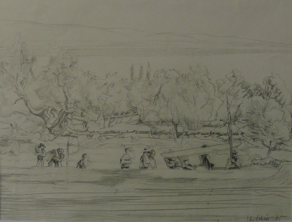 Bild Volker Schultheis | Olivenhain