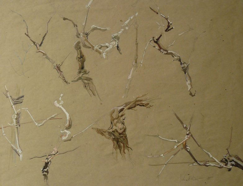 Bild Volker Schultheis | Studie Weinreben 1