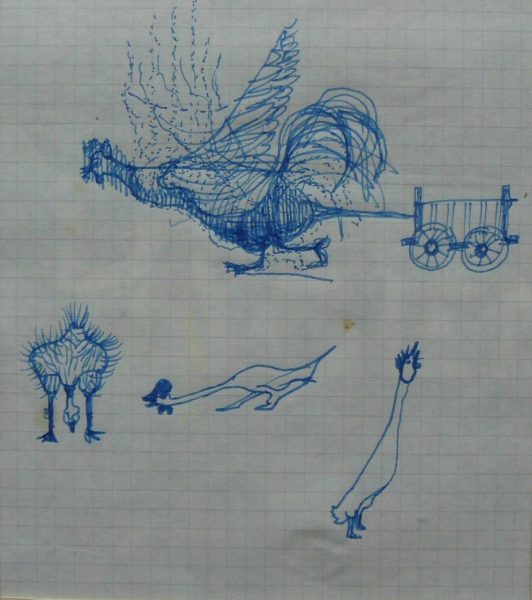 Bild Volker Schultheis | Gefieder