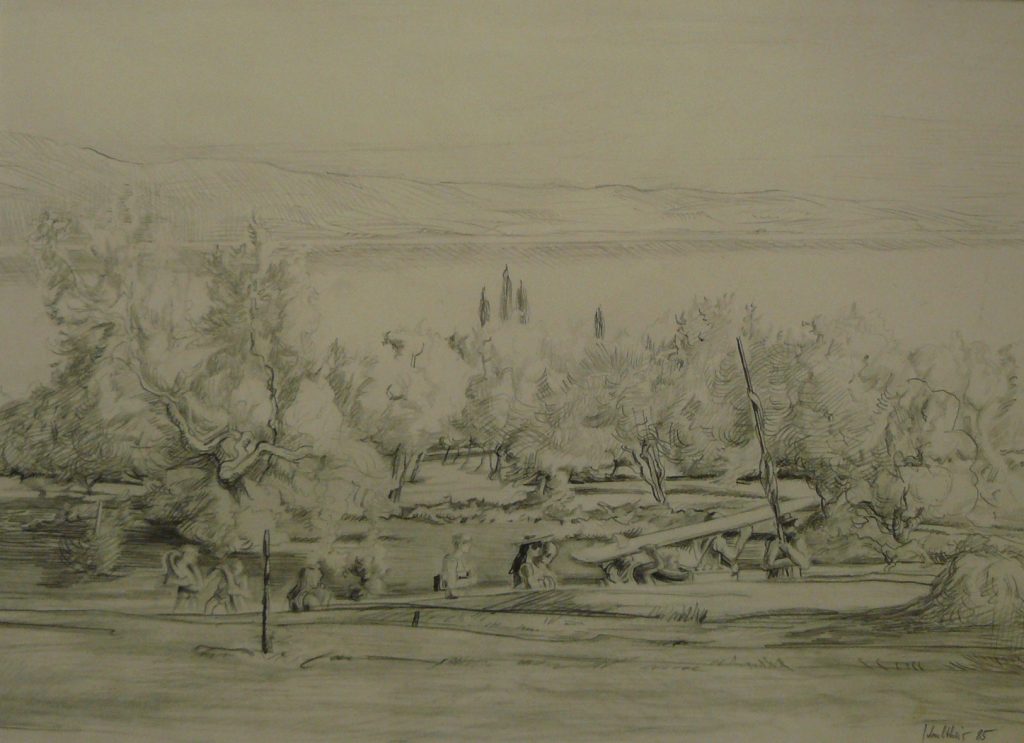 Bild Volker Schultheis | Olivenpflücker