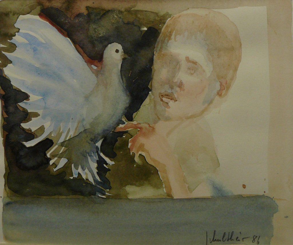 Bild Volker Schultheis | Friedenstaube