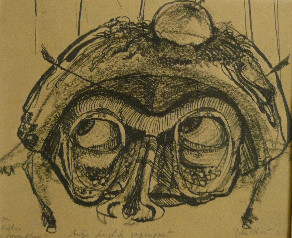 Bild Volker Schultheis | Käfer