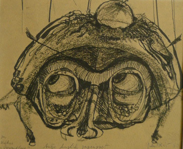 Bild Volker Schultheis | Käfer