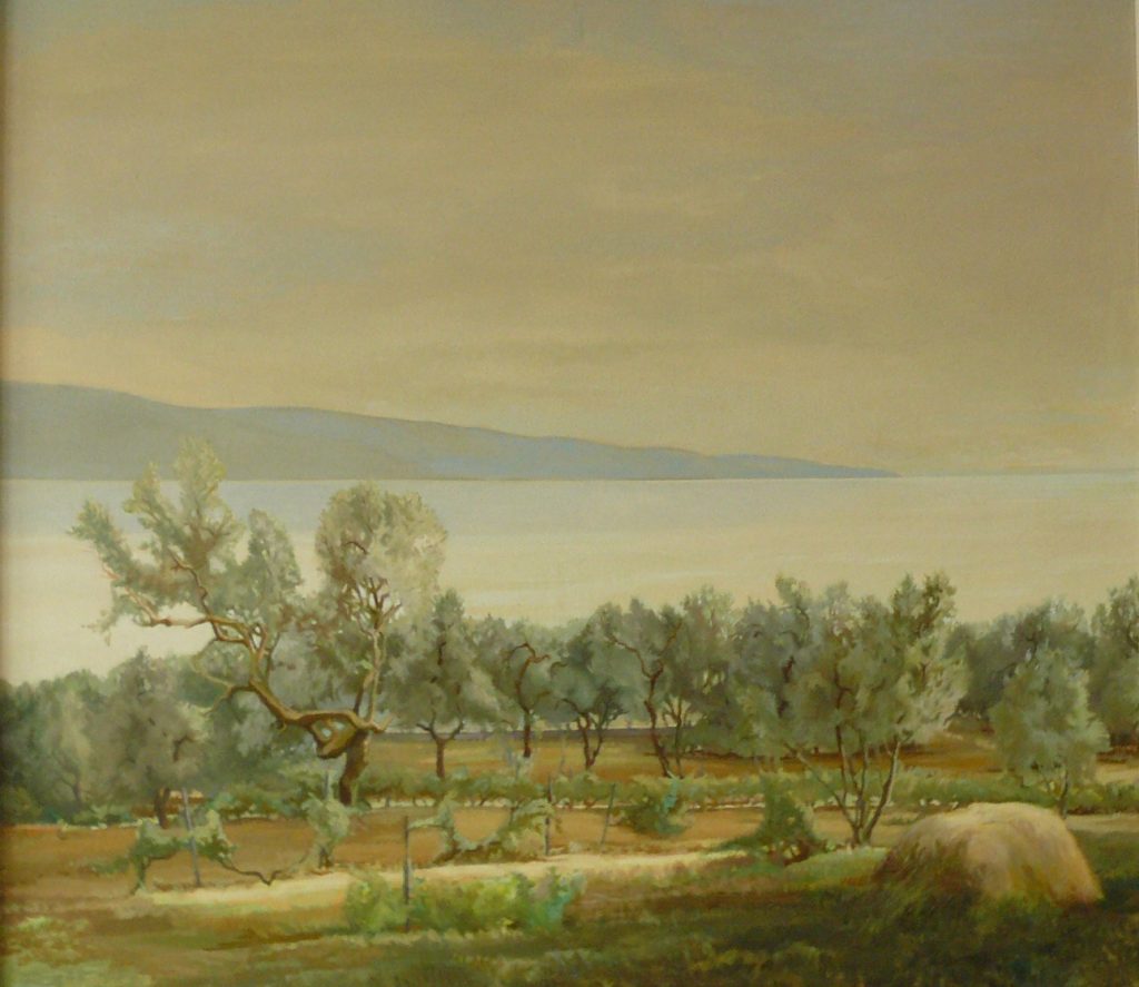 Bild Volker Schultheis | Blick auf den See