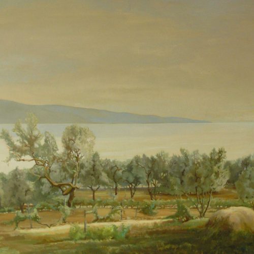 Bild Volker Schultheis | Blick auf den See