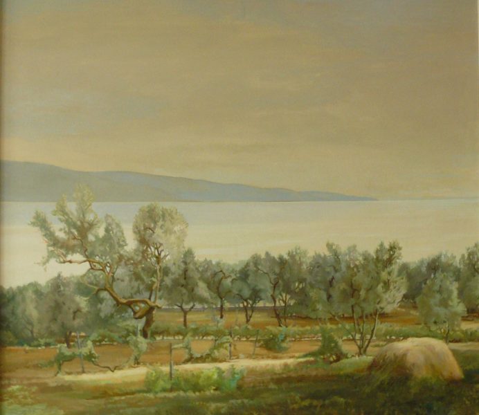 Bild Volker Schultheis | Blick auf den See