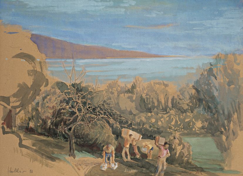 Bild Volker Schultheis | Beim Olivenpflücken