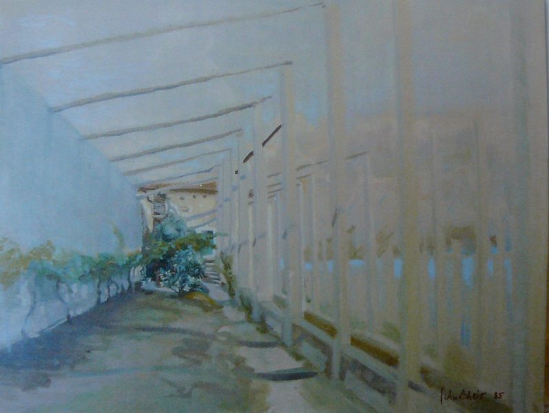 Bild Volker Schultheis | In der Limonaia