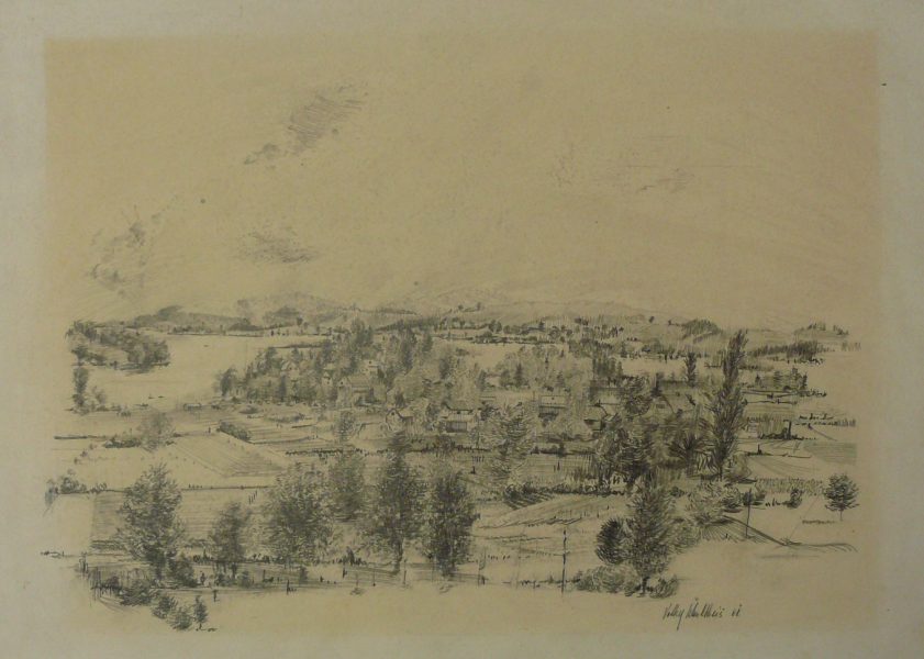 Bild Volker Schultheis | Staffelsee