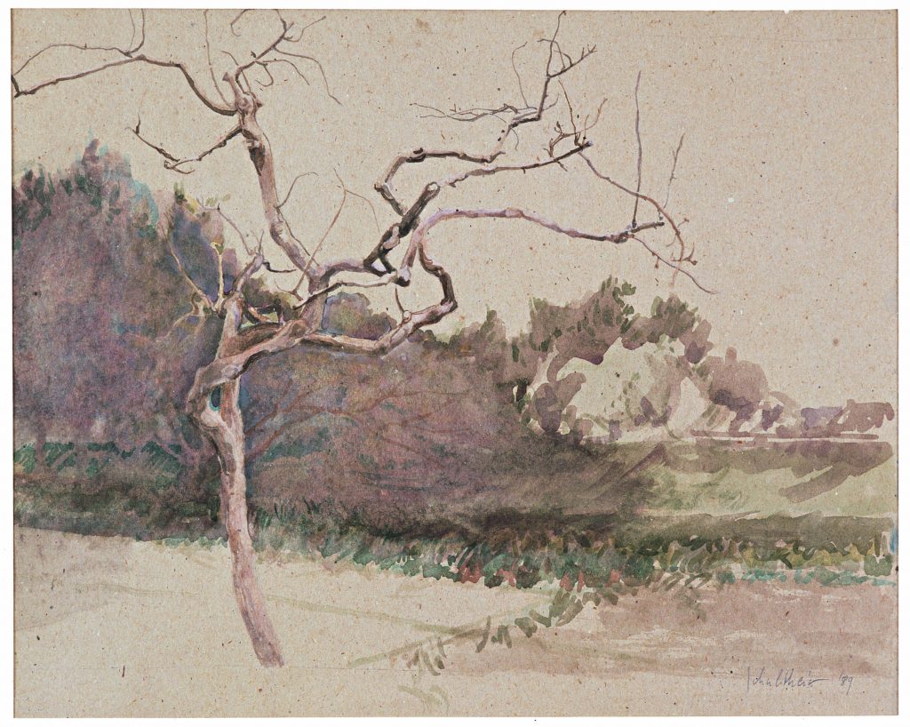 Bild Volker Schultheis | Obstbaum im Winter