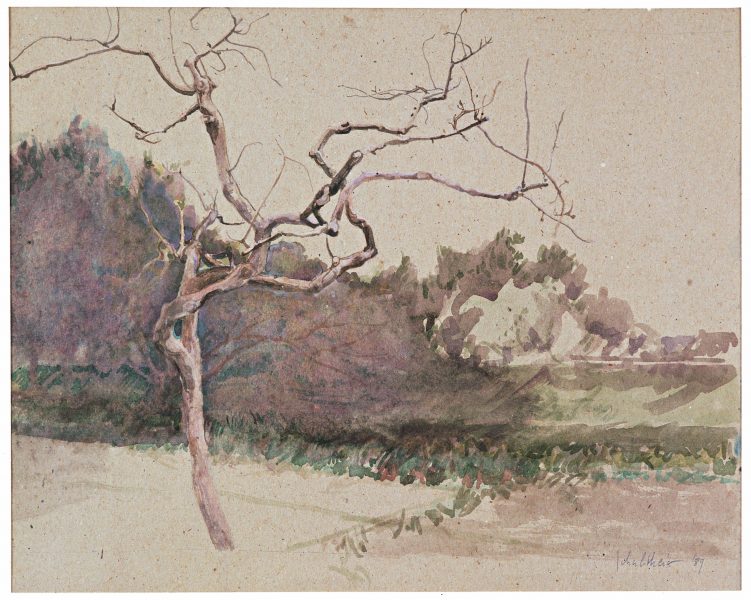 Bild Volker Schultheis | Obstbaum im Winter