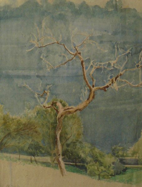 Bild Volker Schultheis | Winterbaum