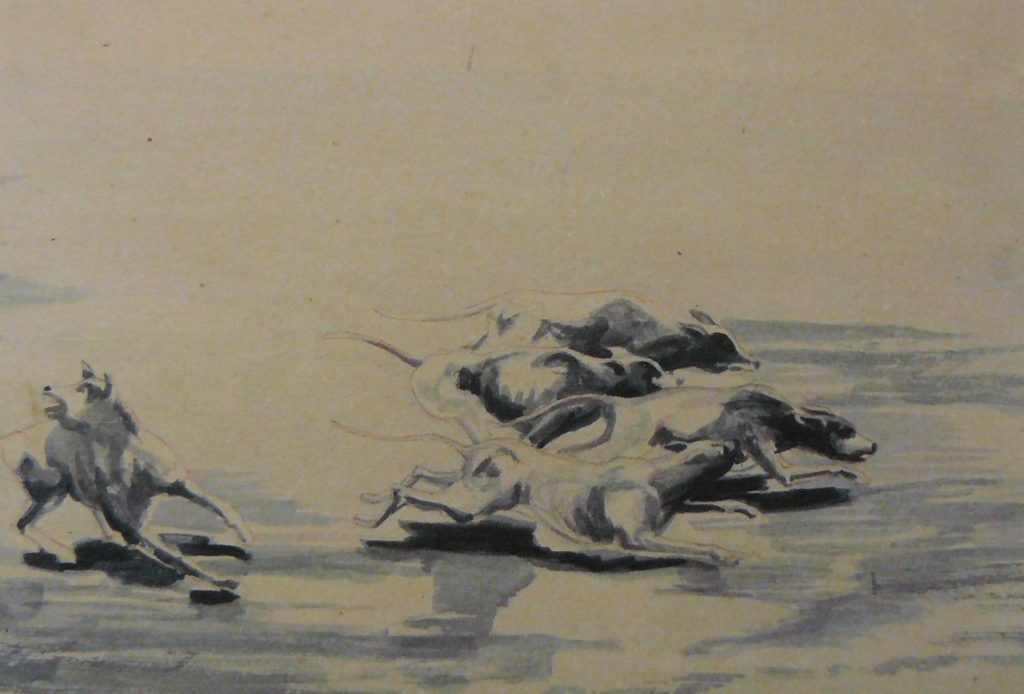 Bild Volker Schultheis | Hunde