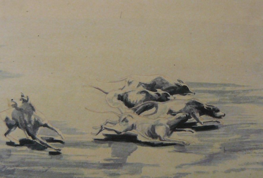 Bild Volker Schultheis | Hunde