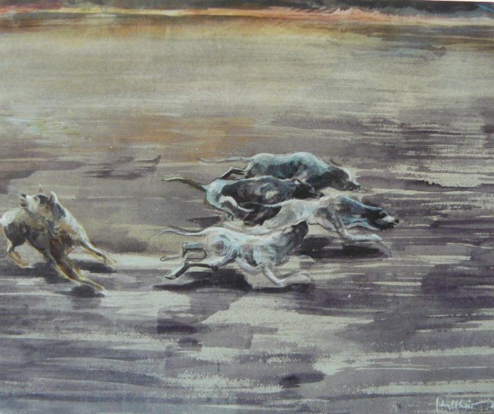 Bild Volker Schultheis | Hunde