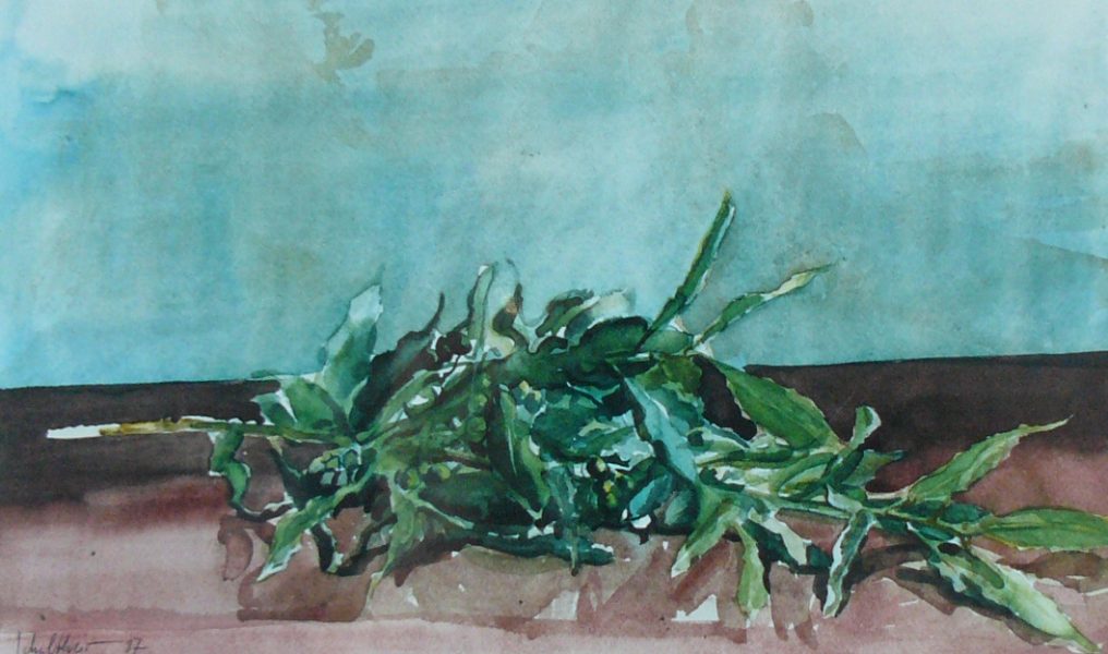 Bild Volker Schultheis | Olivenzweig