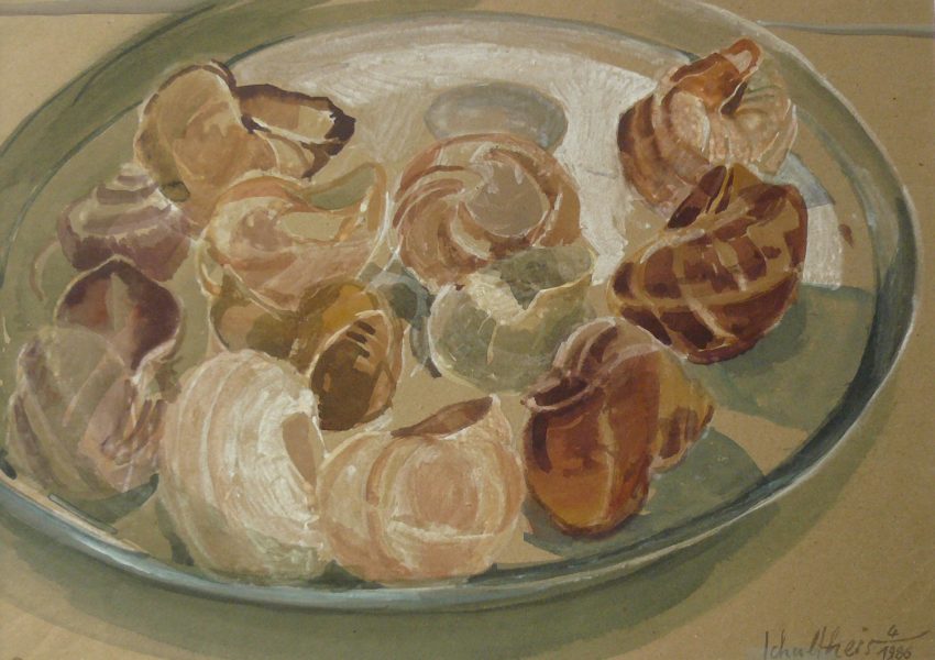 Bild Volker Schultheis | Schnecken