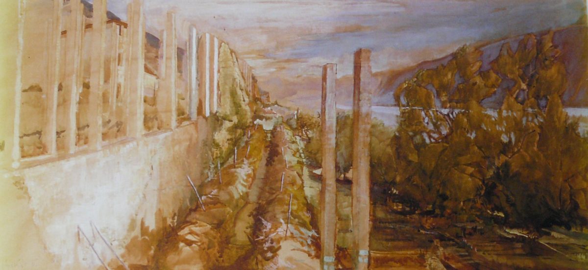 Bild Volker Schultheis | Limonaia