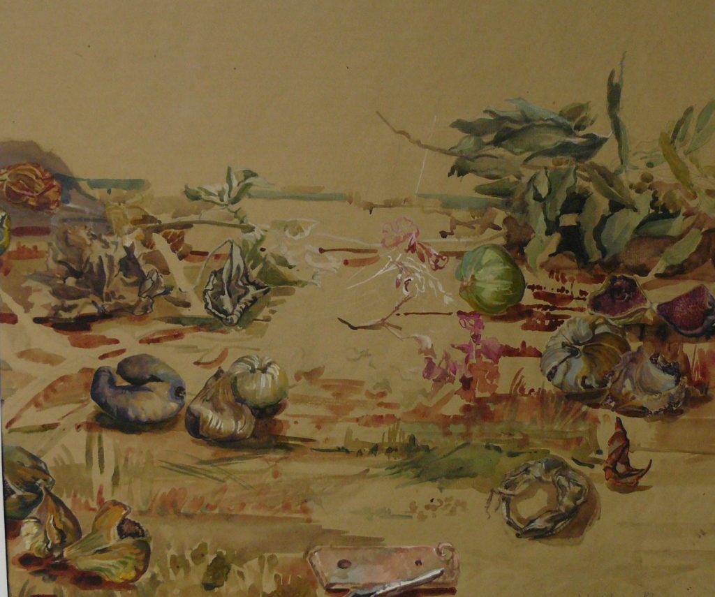 Bild Volker Schultheis | Bodenlandschaft