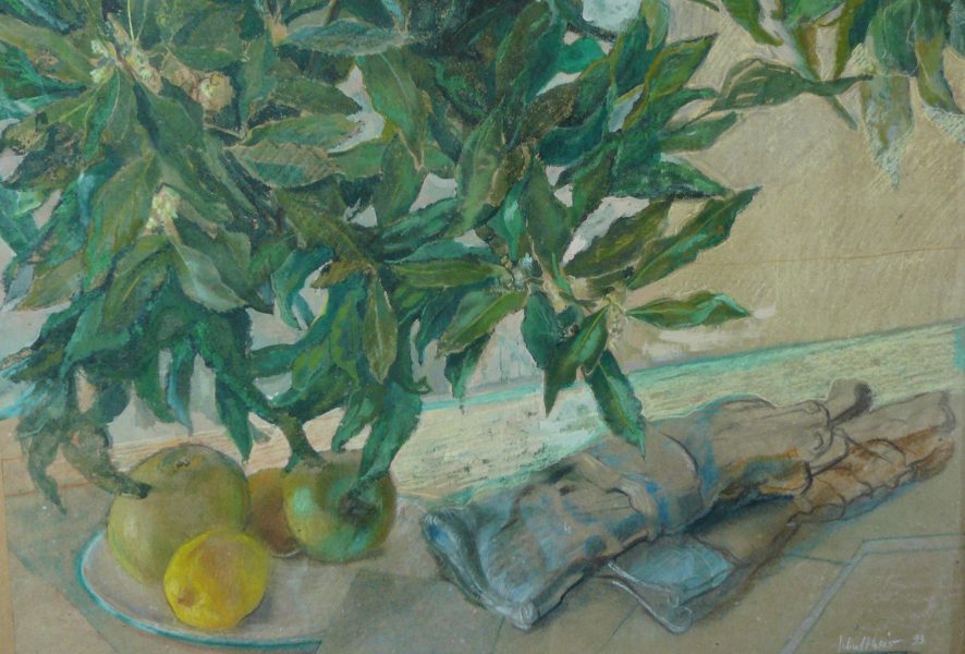 Bild Volker Schultheis | Handschuhe unter Zweigen