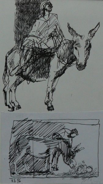 Bild Volker Schultheis | Esel