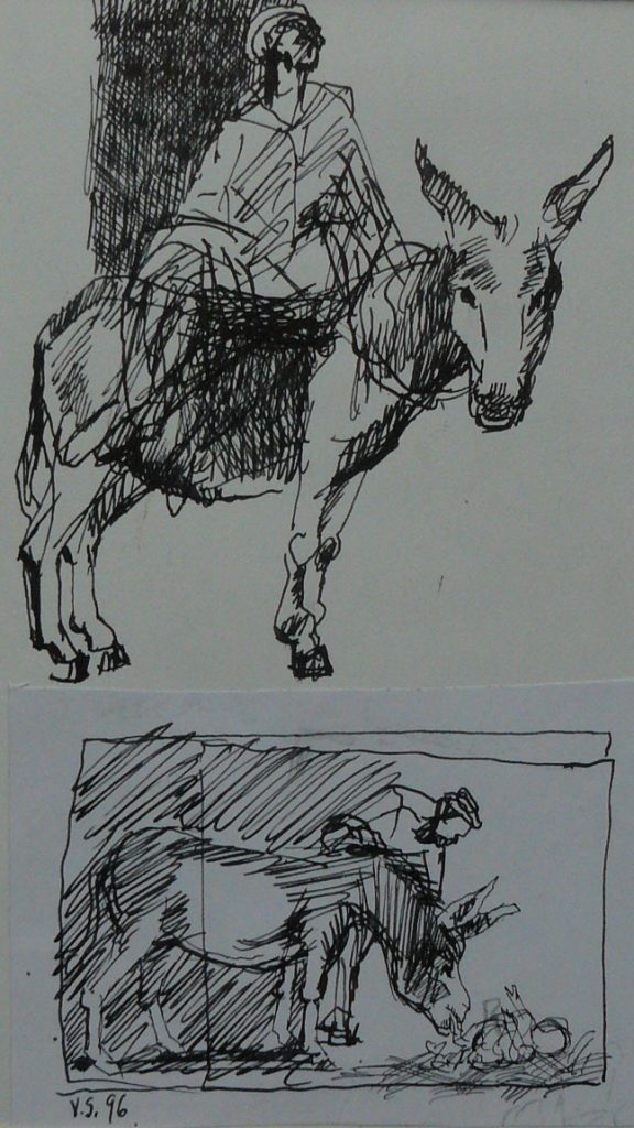 Bild Volker Schultheis | Esel