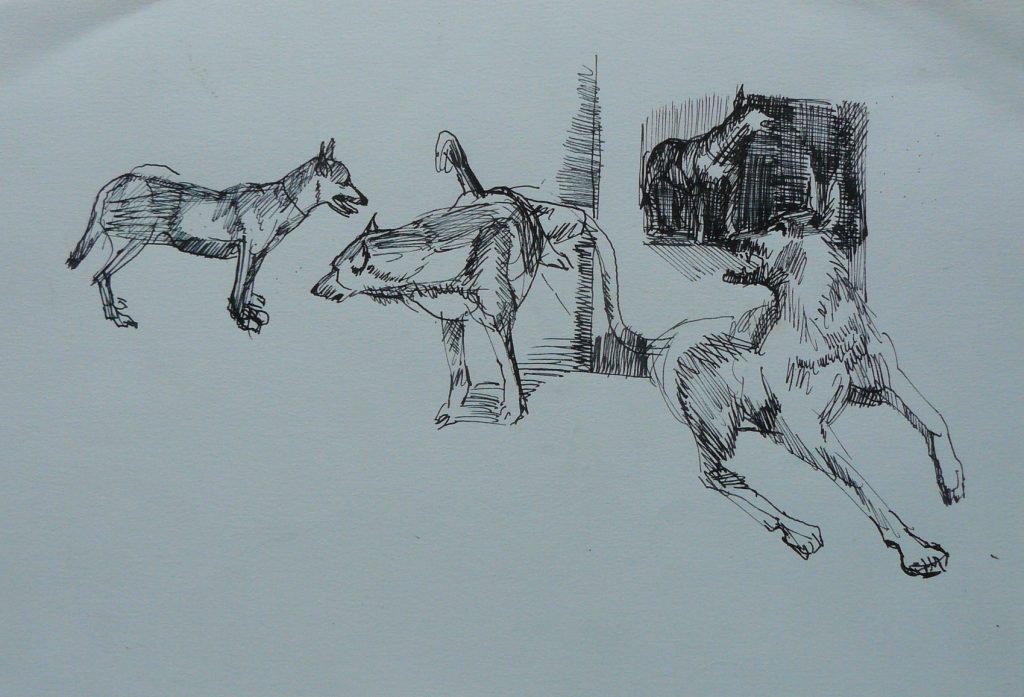 Bild Volker Schultheis | Hundestudie