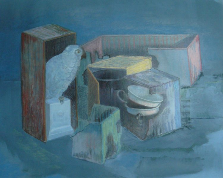 Bild Volker Schultheis | Papagei in Schachtel