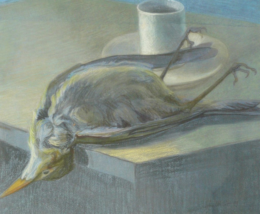 Bild Volker Schultheis | Tote Amsel